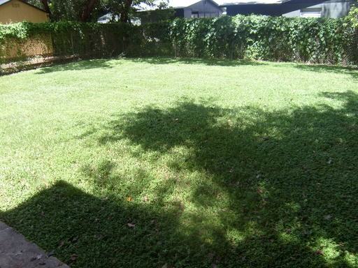 1597 Michigan Ave - Photo 3 of 11
