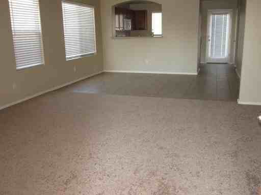 7715 S 48th Ln - Photo 3 of 11