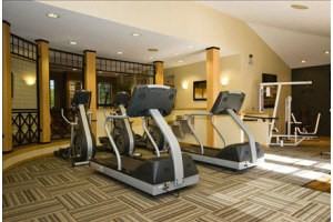 The Marks - Photo 2 of 14