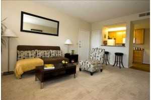 The Marks - Photo 3 of 14