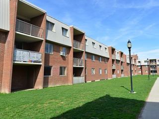 85 Ontario St S Kitchener On N2g 1 Bedroom Apartment For Rent