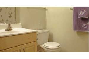 Arborview at Riverside and Liriope - Photo 3 of 37