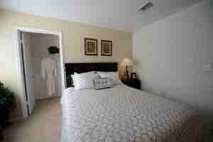 Twelve Oaks at Windemere - Photo 2 of 30