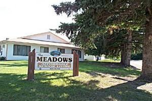 Meadows - Photo 3 of 3