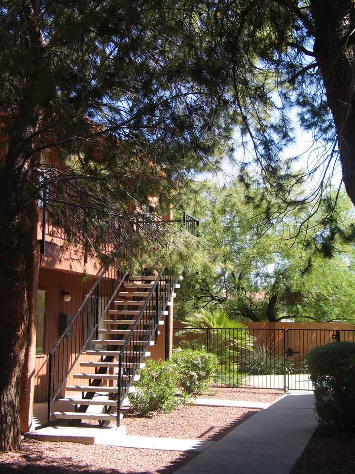 Acacia Gardens - Photo 3 of 31