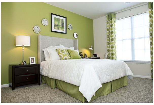 Sterling Magnolia - Photo 3 of 20