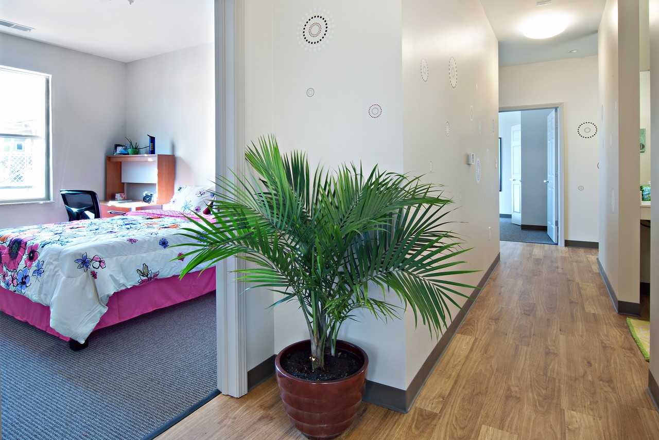 College Suites at Hudson Valley - Photo 3 of 14