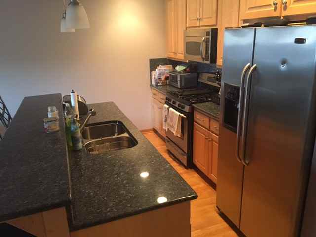 3229 South Wells Street #3 - Photo 3 of 17