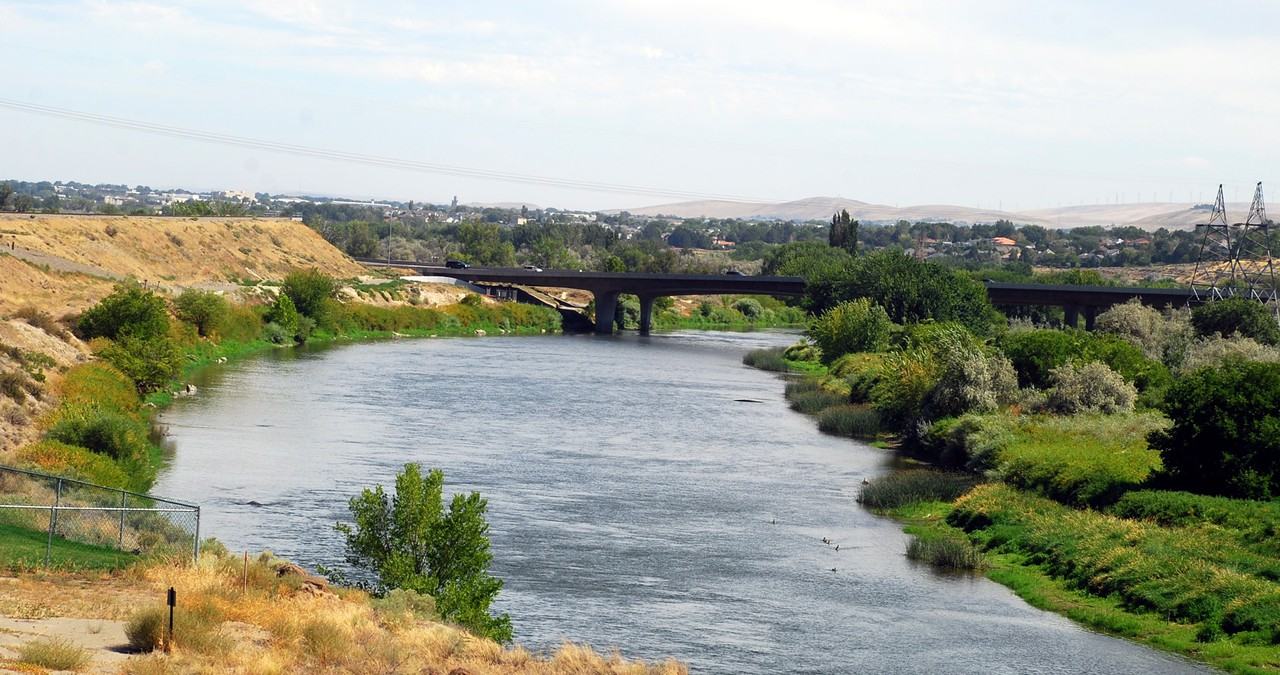 Mosaic on the River - Photo 2 of 43