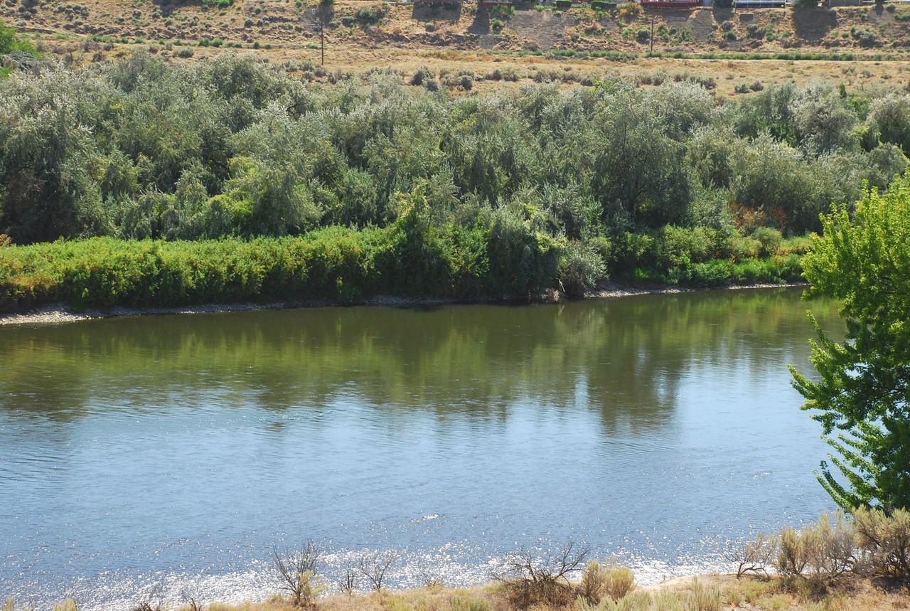 Mosaic on the River - Photo 3 of 43