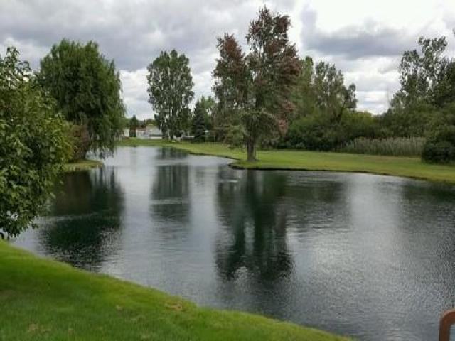 6 Peach Tree Dr - Photo 2 of 4