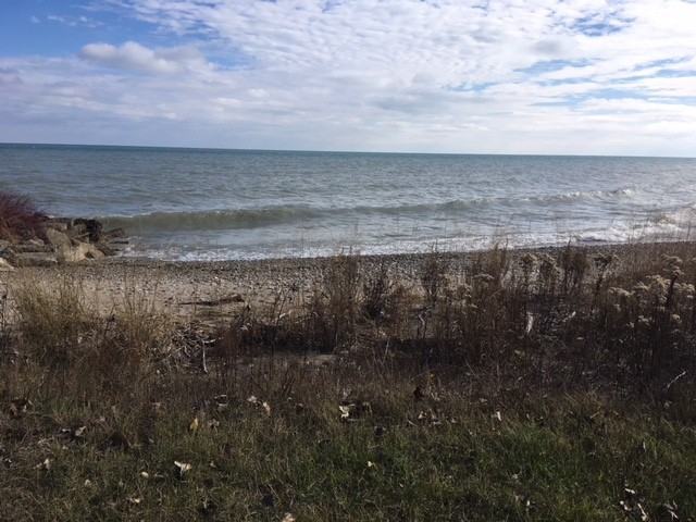 9848 Lakeshore Dr - Photo 2 of 19