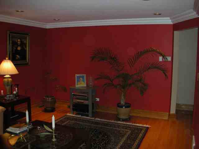 4939 Oriole Ave - Photo 3 of 12