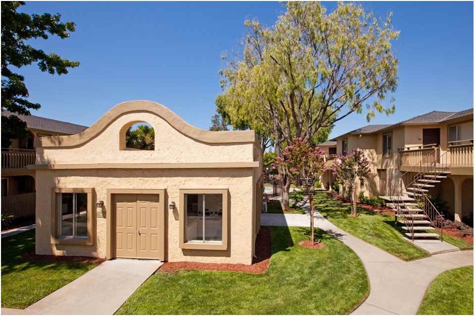 Solera - Photo 2 of 40