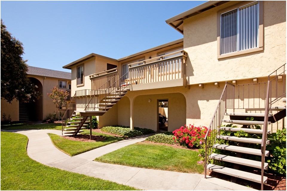 Solera - Photo 3 of 40