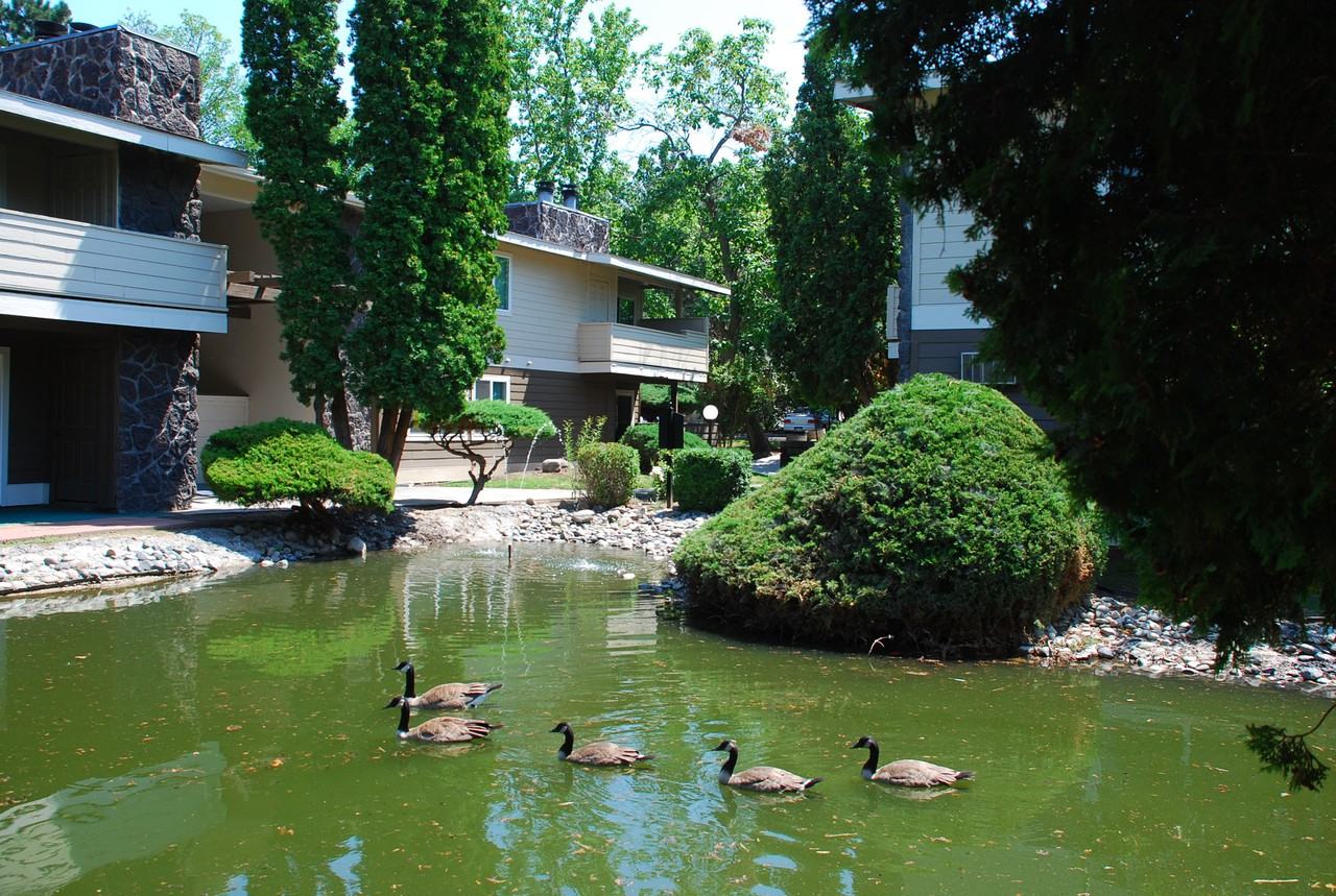 Clearwater Bay Apartment Homes - Photo 3 of 25