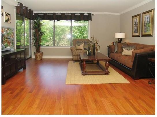 The Woods at Countryside - Photo 3 of 20