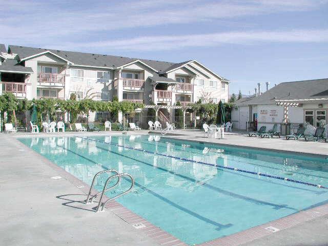 Oak Park Village - Photo 3 of 50