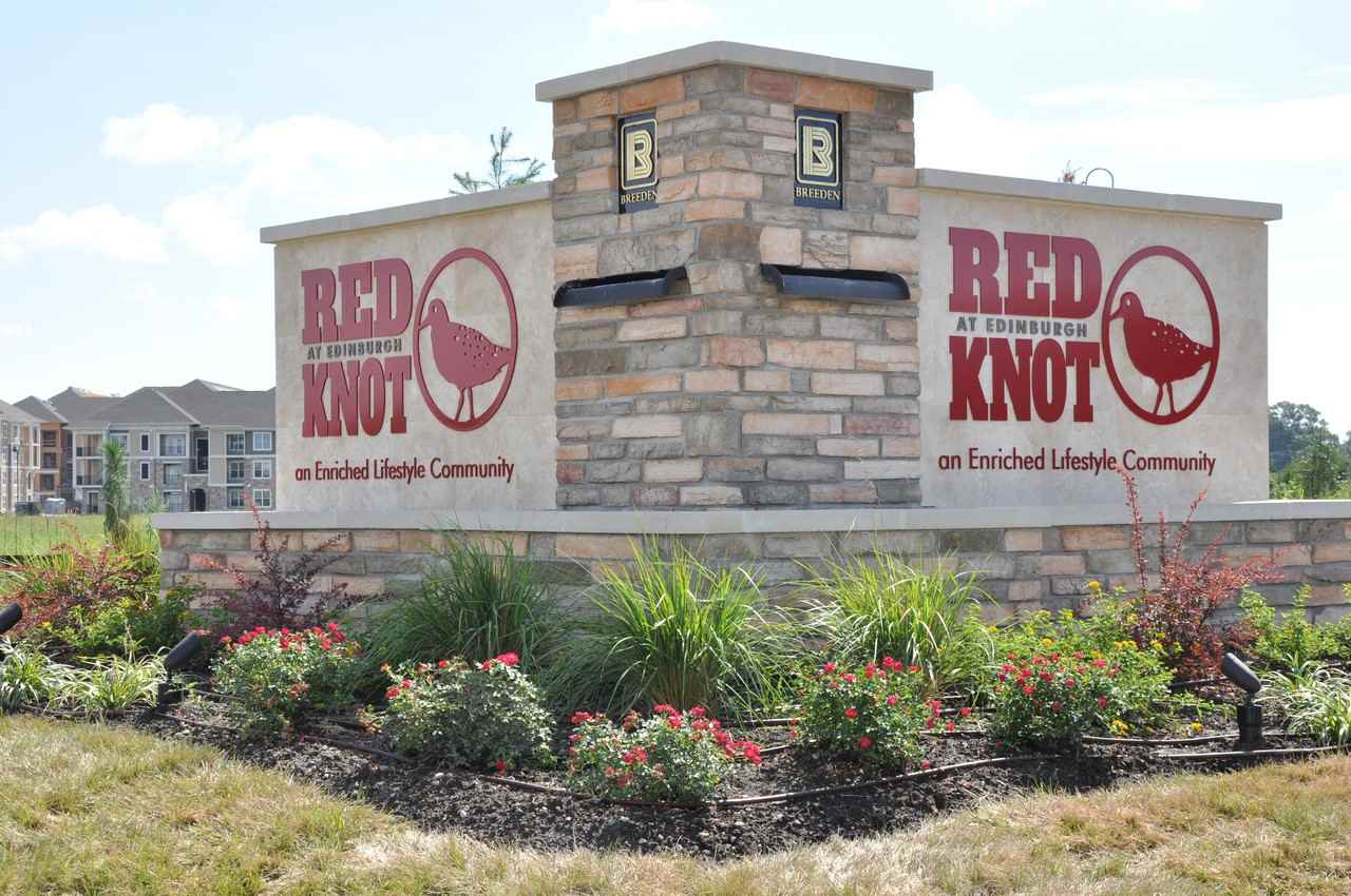Red Knot at Edinburgh - Photo 2 of 37