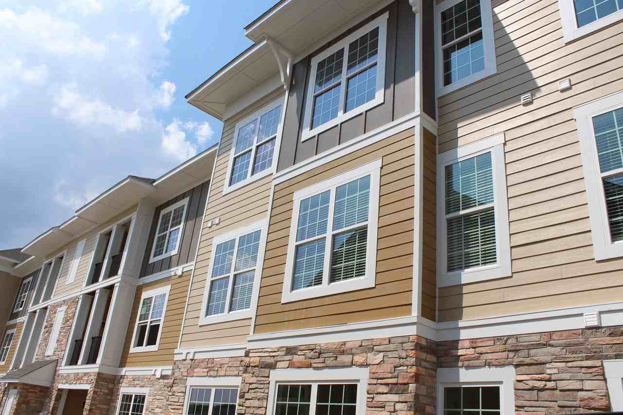 Red Knot at Edinburgh - Photo 3 of 37