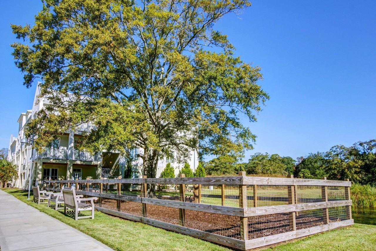 Link Apartments Mixson - Photo 3 of 24