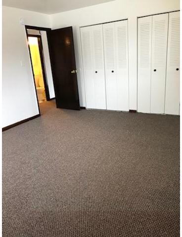 Islander - Photo 2 of 10