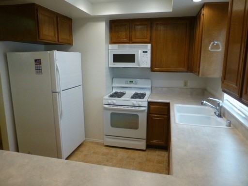 26210 Rainbow Glen Dr - Photo 2 of 20