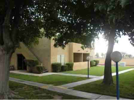 The Oasis Apartments - Photo 3 of 11