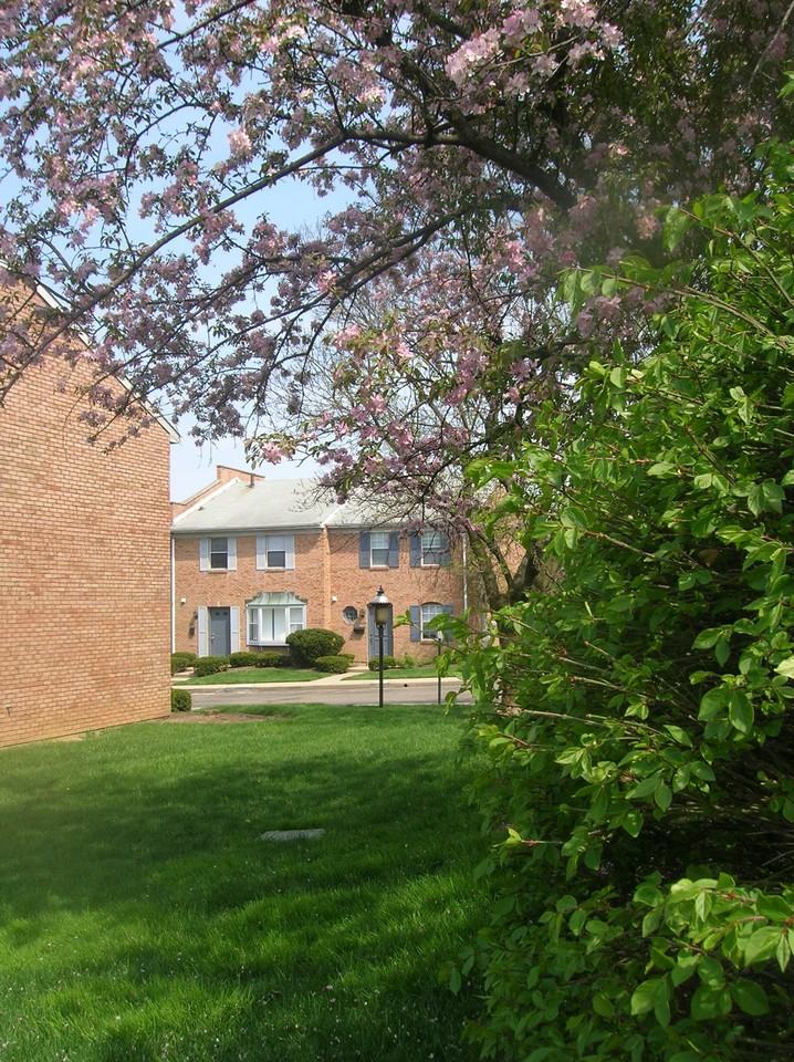 Prince Frederick Townhouses - Photo 3 of 16