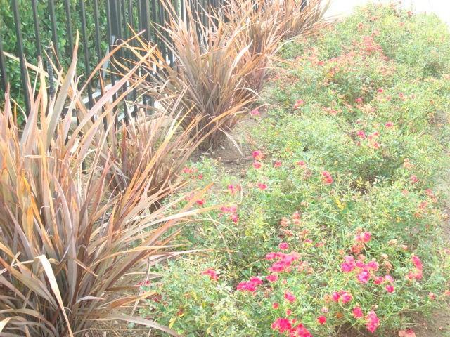 River Park Place - Photo 3 of 31