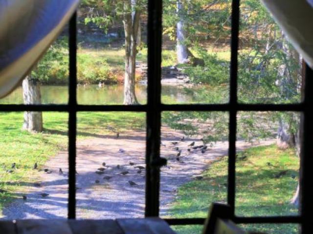 34 W Saugerties Rd - Photo 2 of 6