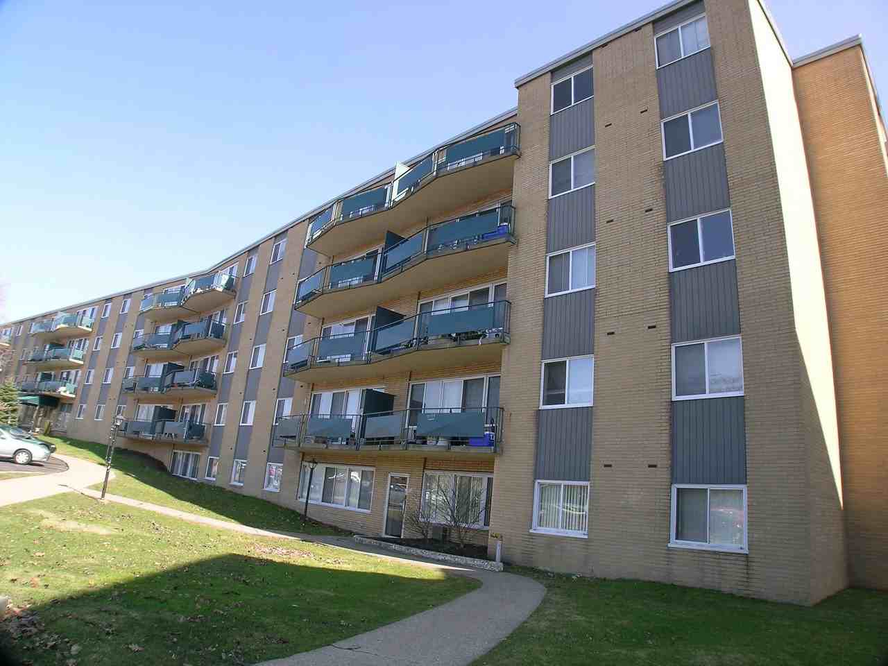 Mystic Creek Apts. - Photo 3 of 15