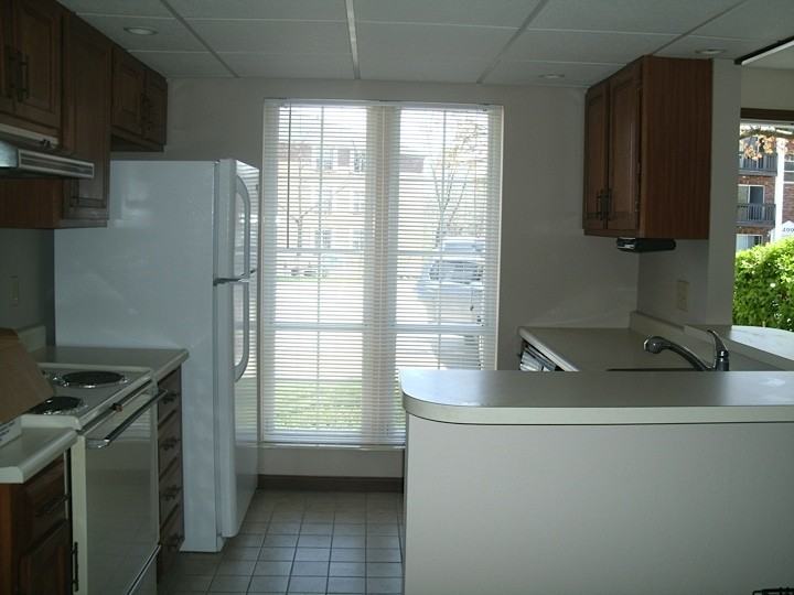 702 Highland Trce - Photo 3 of 18