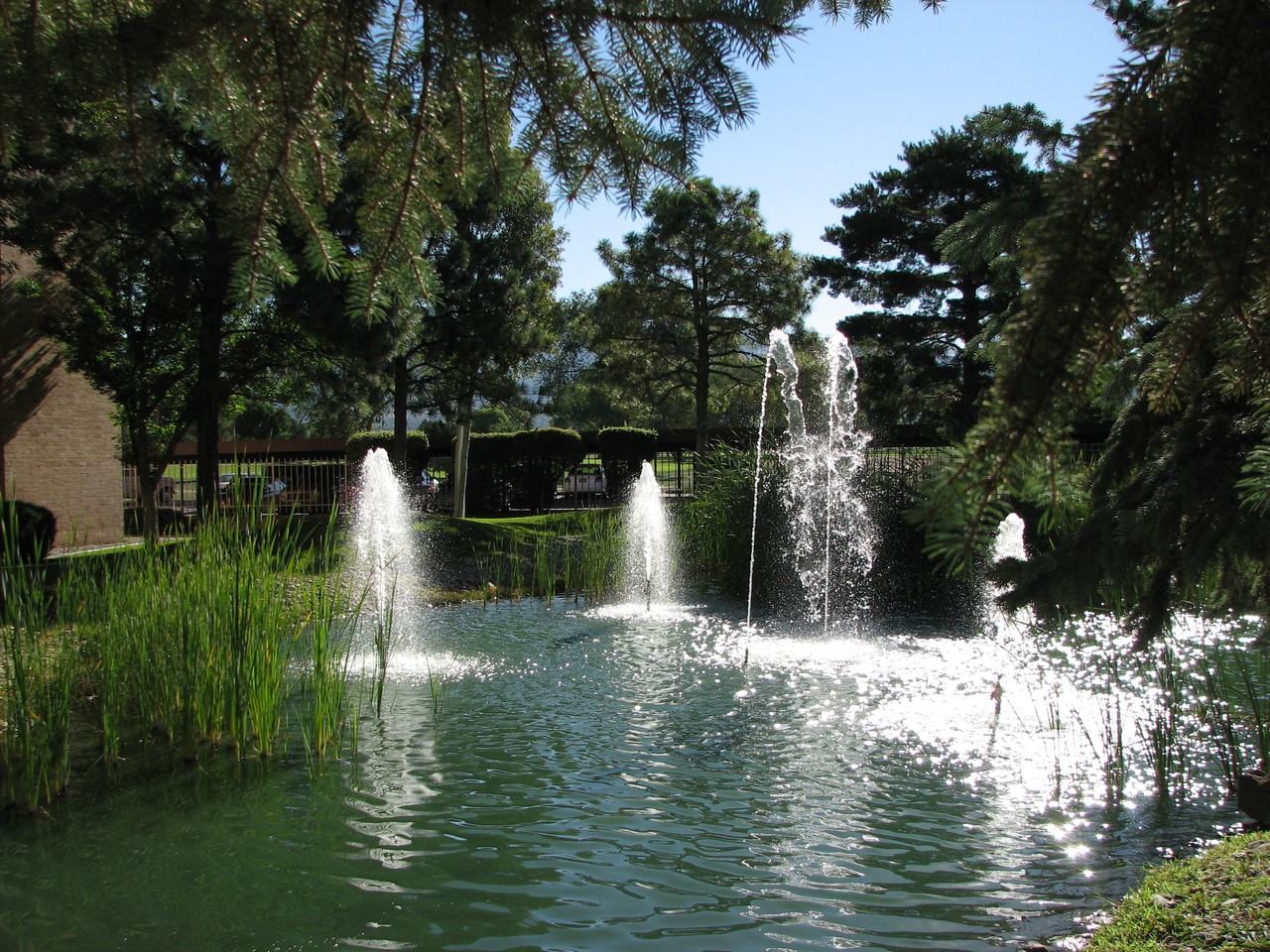 Los Altos Towers Apts - Photo 3 of 50