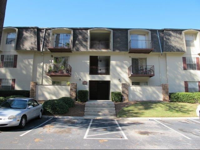 Rainbow Forest - Photo 3 of 15