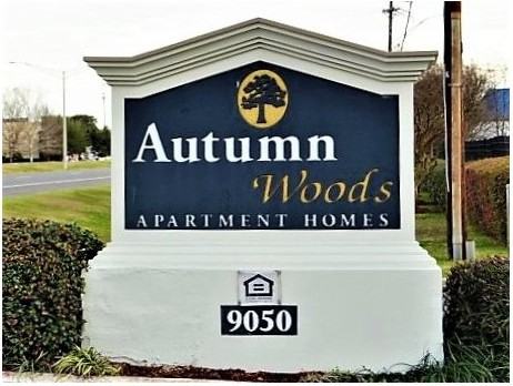 Autumn Woods - Photo 2 of 20