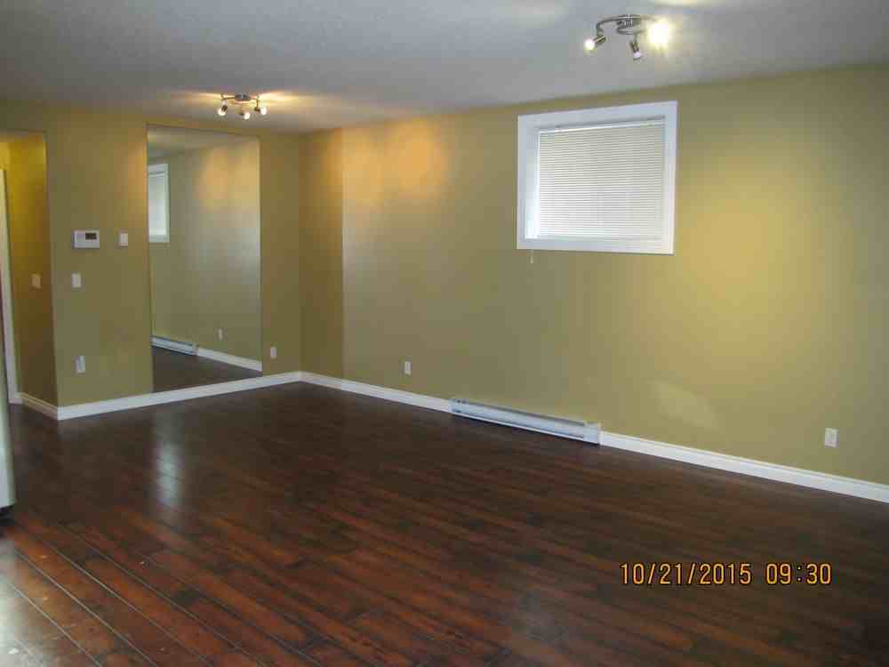 225B Rainbow Creek Dr - Photo 2 of 10