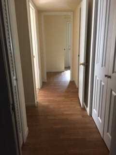 Regal Forest - Photo 3 of 8