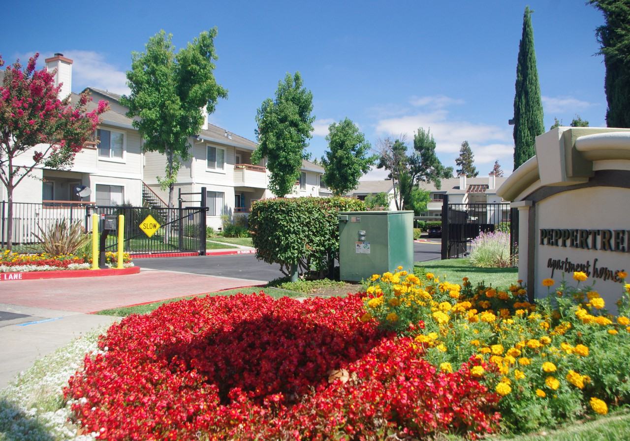 Peppertree Apartments - Photo 2 of 34