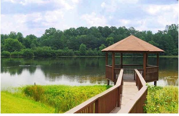 Spring Lake - Photo 3 of 13