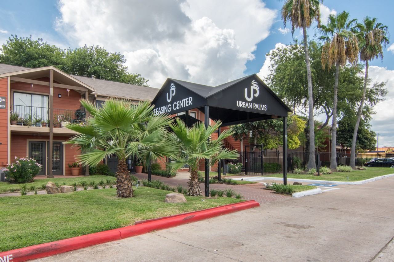 Urban Palms - Photo 2 of 39