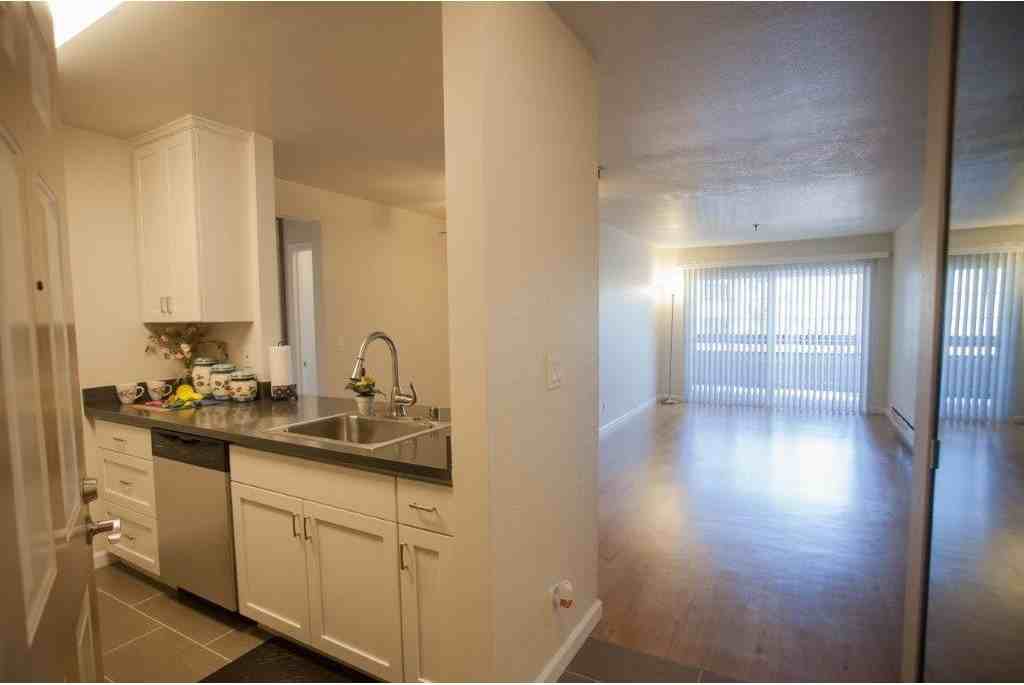 Serra Commons - Photo 2 of 19