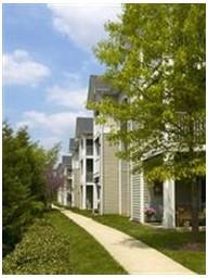 The Fields of Manassas - Photo 2 of 9