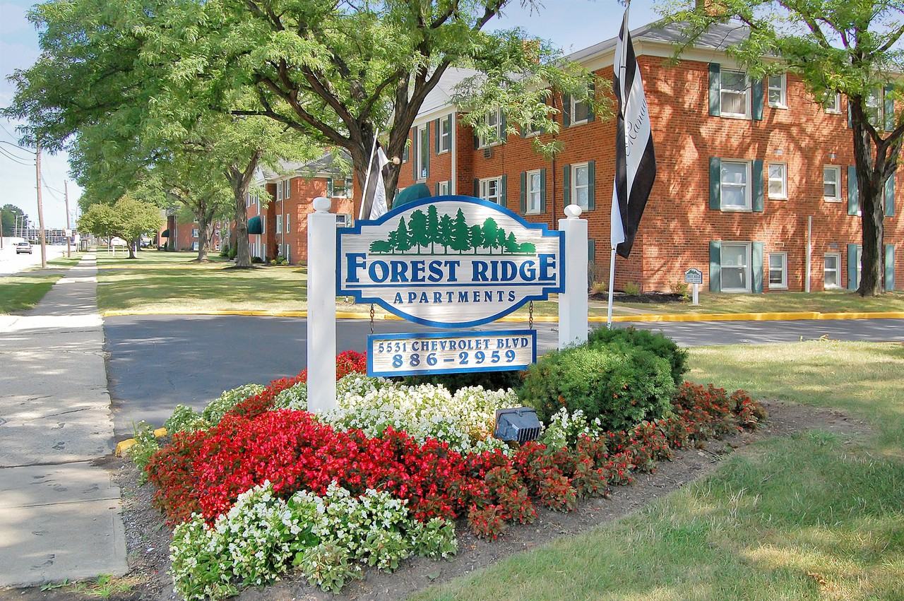 Forest Ridge Apartments - Photo 2 of 16