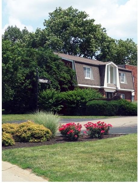 Seasons on Chelsea - Photo 2 of 35