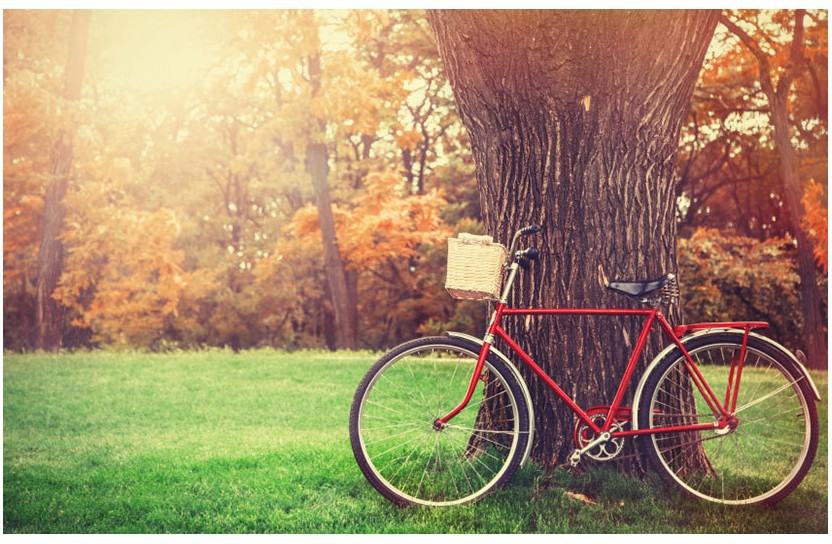 Centennial East - Photo 3 of 4