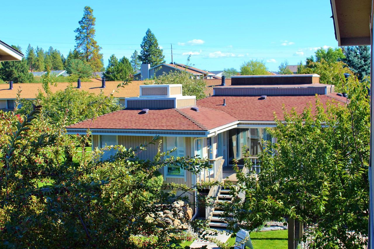 Meadow Ridge - Photo 3 of 28