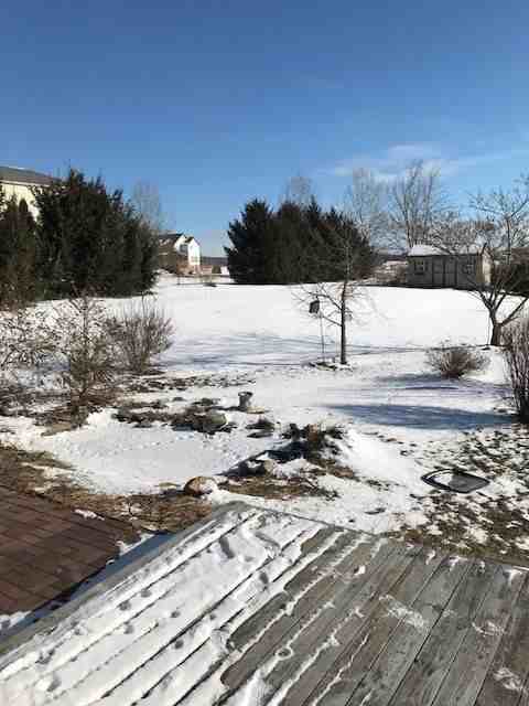 164 Maple Dr - Photo 3 of 16