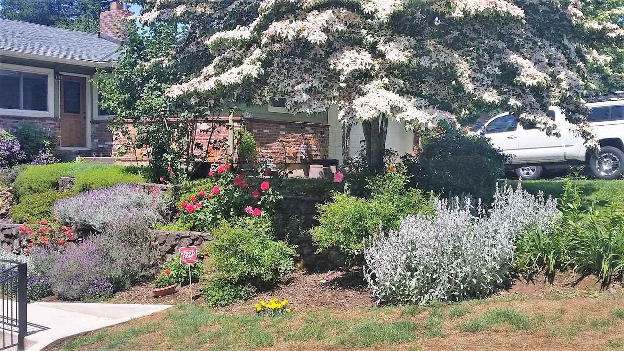 8243 SW 9th Ave - Photo 3 of 10