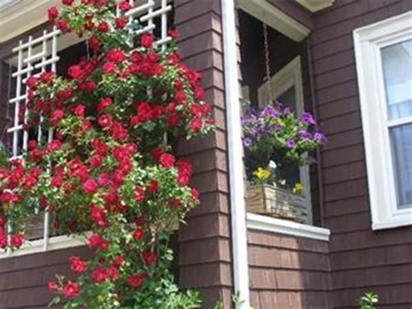 35 Minnesota Ave #2 - Photo 3 of 10